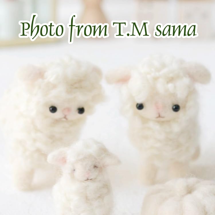 Amazon.co.jp: ふたごのひつじのマスコット手作りキット スターター